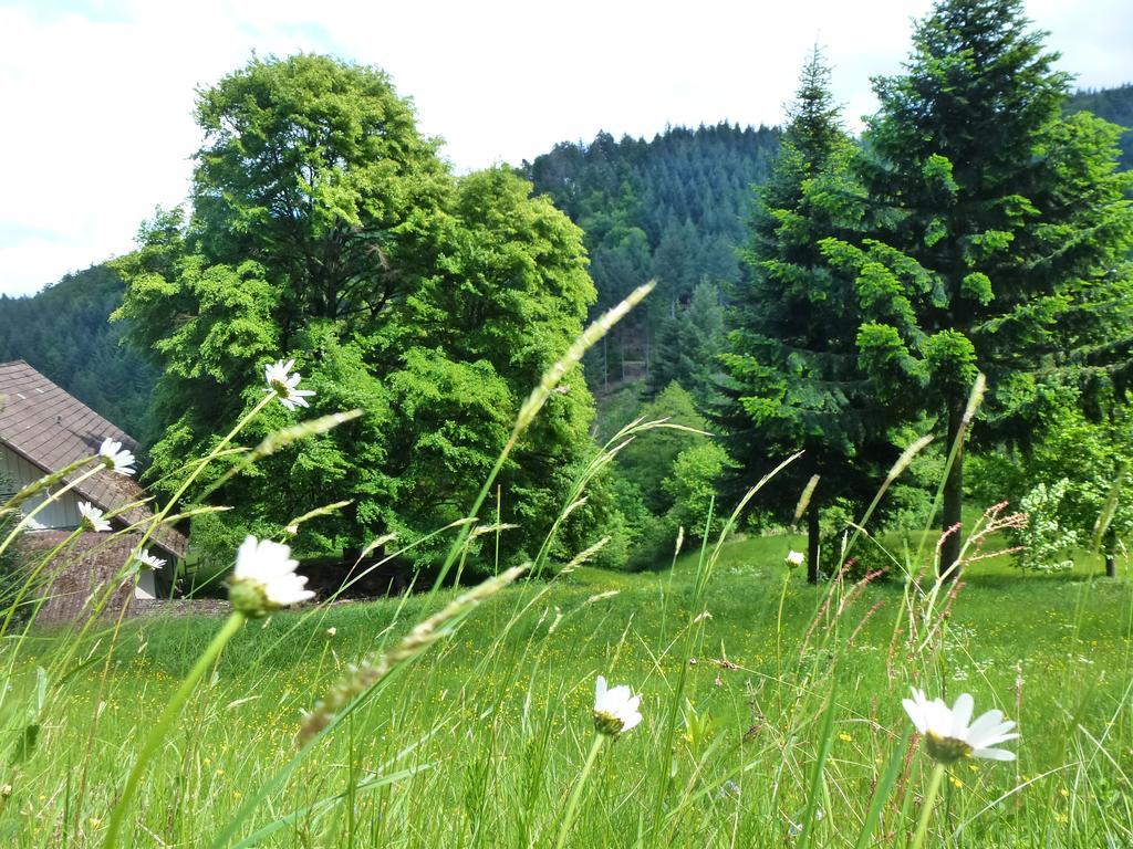 Baumanns Landhaus Durbach Exterior foto
